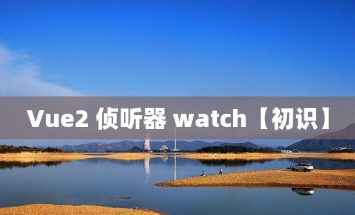 Vue2 侦听器 watch【初识】
