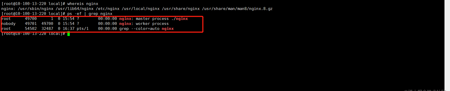 Linux中Nginx的搭建和配置